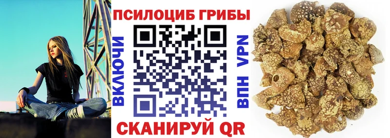 OMG рабочий сайт  Судак  Псилоцибиновые грибы ЛСД 